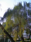 Lago di Posta Fibreno