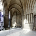 Cattedrale di Chartres 22.jpg