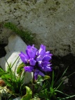 Campo Imperatore 33