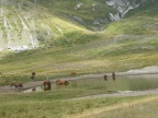 Campo Imperatore 37