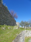 Civita di Arpino (5)