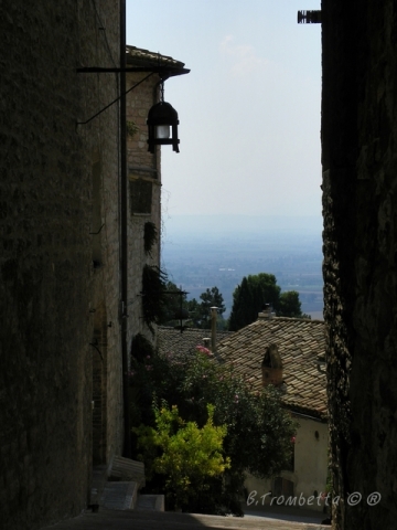 Assisi 11.jpg